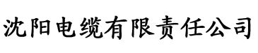 91香蕉视频导航app电缆厂logo